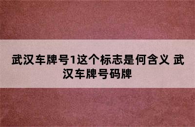 武汉车牌号1这个标志是何含义 武汉车牌号码牌